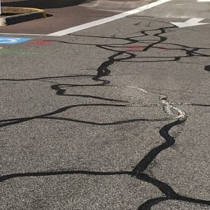 crack-sealing-service-scaled